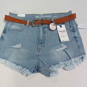 Wallflower shorty shorts size 13